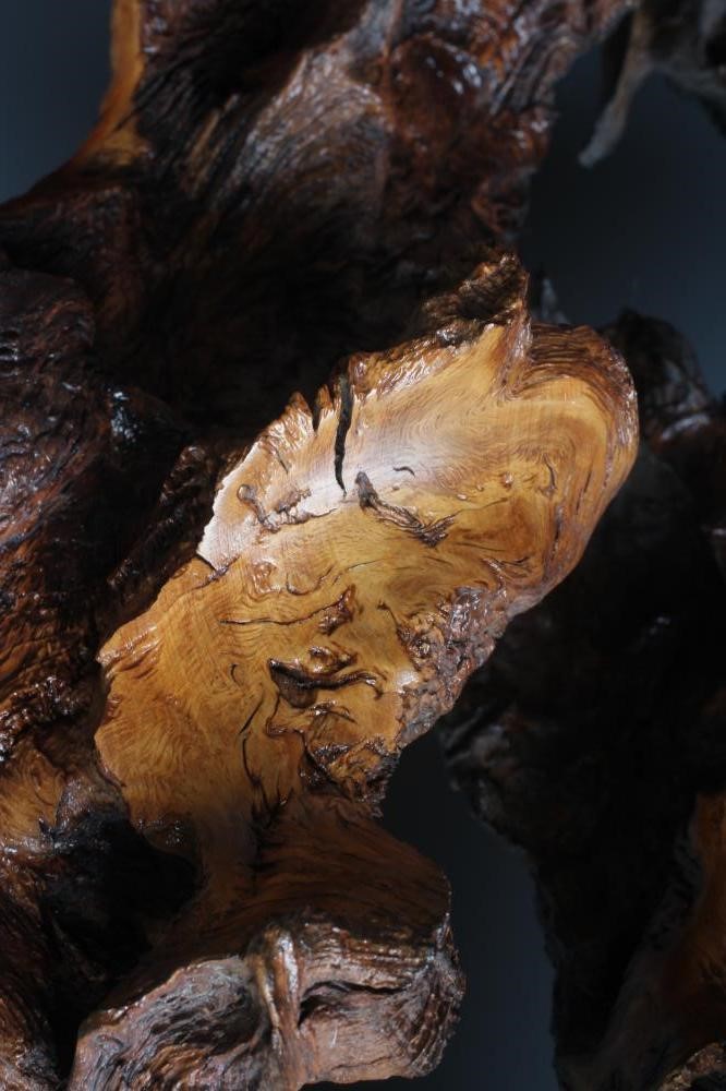 A RETRO ROOT WOOD LAMP, mid 20th century, of substantial proportions, 25" high, 27" wide (Est. plus Image