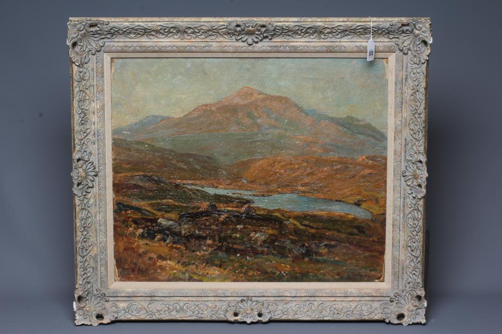 HERBERT F ROYLE (1870-1958) Tiorga Mor, signed lower right, oil on board, 19 1/2" x 23 1/2", modern Image