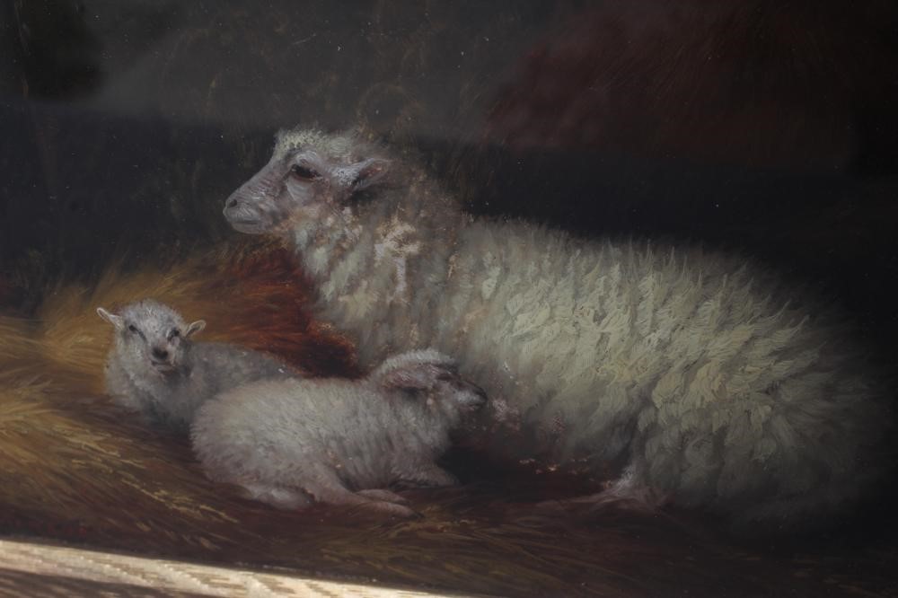 ARTHUR JACKSON (act.1885- c.1910) Sheep in a Stable Interior, signed lower left, oil on board, 8" x Image