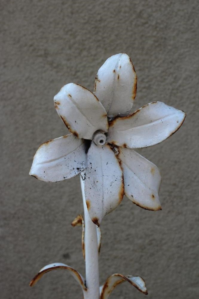 A CAST IRON FOUNTAINHEAD, modelled as a single flowerhead with tubular stem issuing leaves, on Image