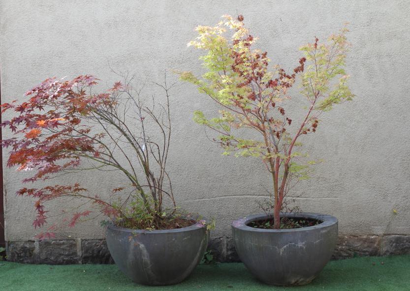 A PAIR OF LARGE COMPOSITION PLANTERS of tapering circular form with flat rim, 30" w x 18 1/4" h, Image