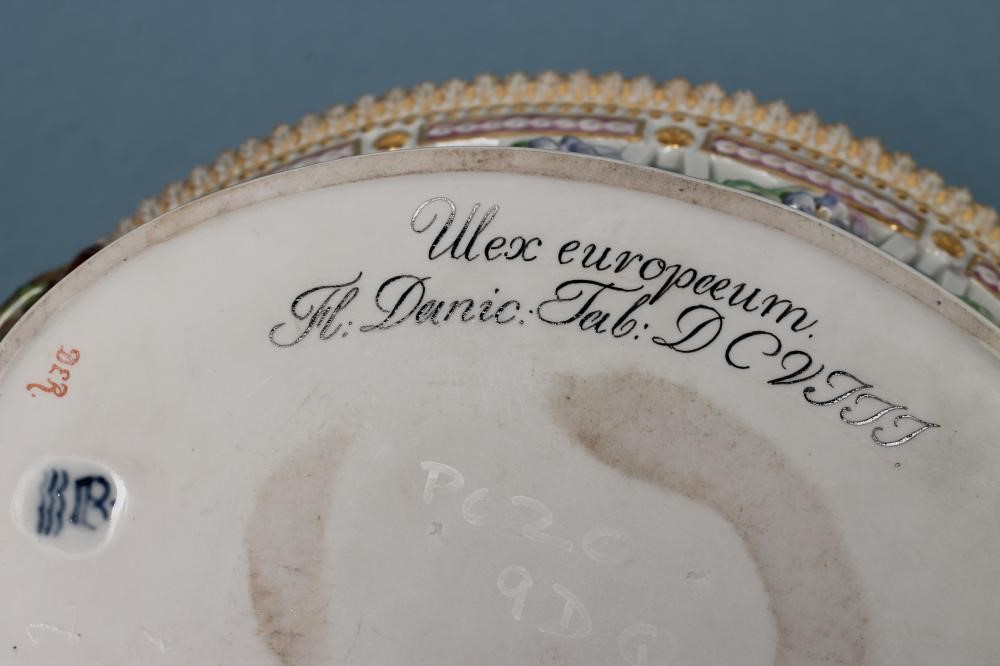 A ROYAL COPENHAGEN PORCELAIN "FLORA DANICA" BASKET of flared oval form with two naturalistic twig Image