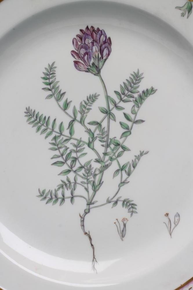 A ROYAL COPENHAGEN PORCELAIN "FLORA DANICA" PLATE centrally painted with "Astragalus arenarius" Image