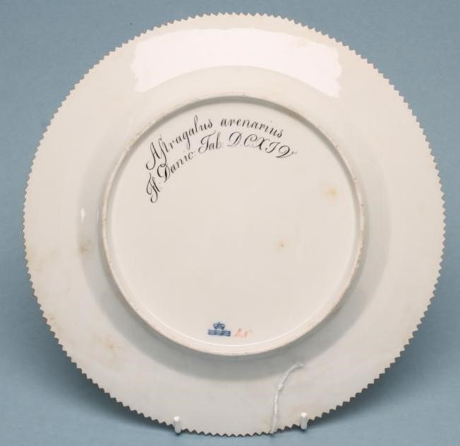 A ROYAL COPENHAGEN PORCELAIN "FLORA DANICA" PLATE centrally painted with "Astragalus arenarius" Image