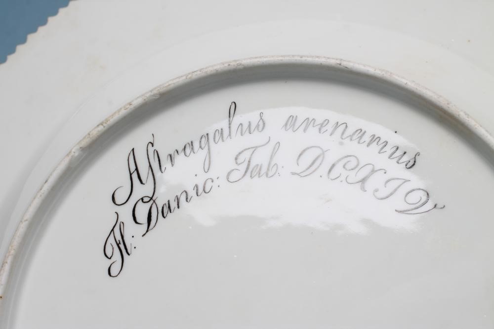 A ROYAL COPENHAGEN PORCELAIN "FLORA DANICA" PLATE centrally painted with "Astragalus arenarius" Image