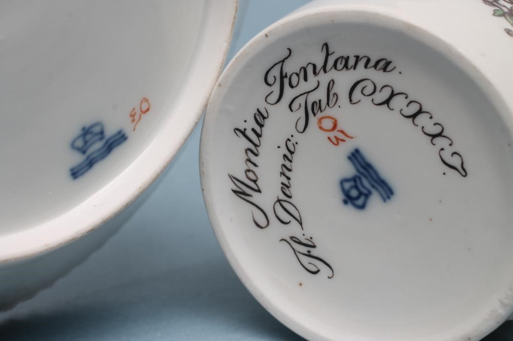 A ROYAL COPENHAGEN PORCELAIN "FLORA DANICA" CAN AND SAUCER Image