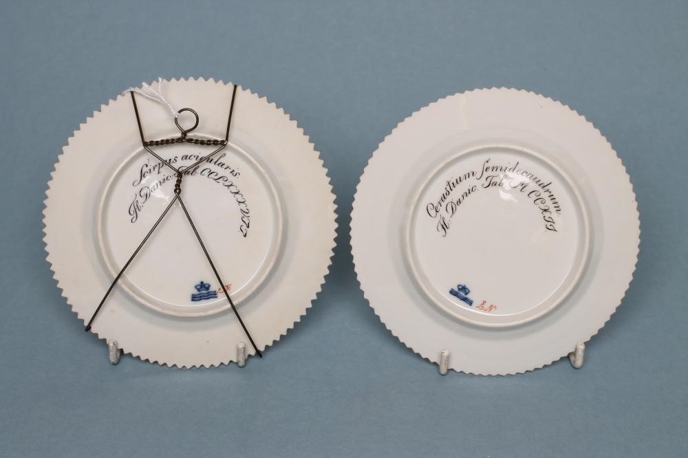 A PAIR OF ROYAL COPENHAGEN PORCELAIN "FLORA DANICA" TEA PLATES of plain circular form centrally Image