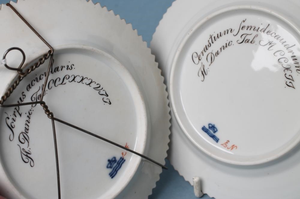 A PAIR OF ROYAL COPENHAGEN PORCELAIN "FLORA DANICA" TEA PLATES of plain circular form centrally Image