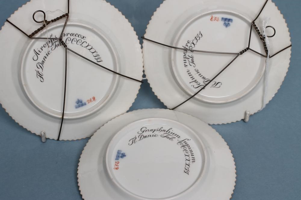 A SET OF THREE ROYAL COPENHAGEN PORCELAIN "FLORA DANICA" TEA PLATES Image