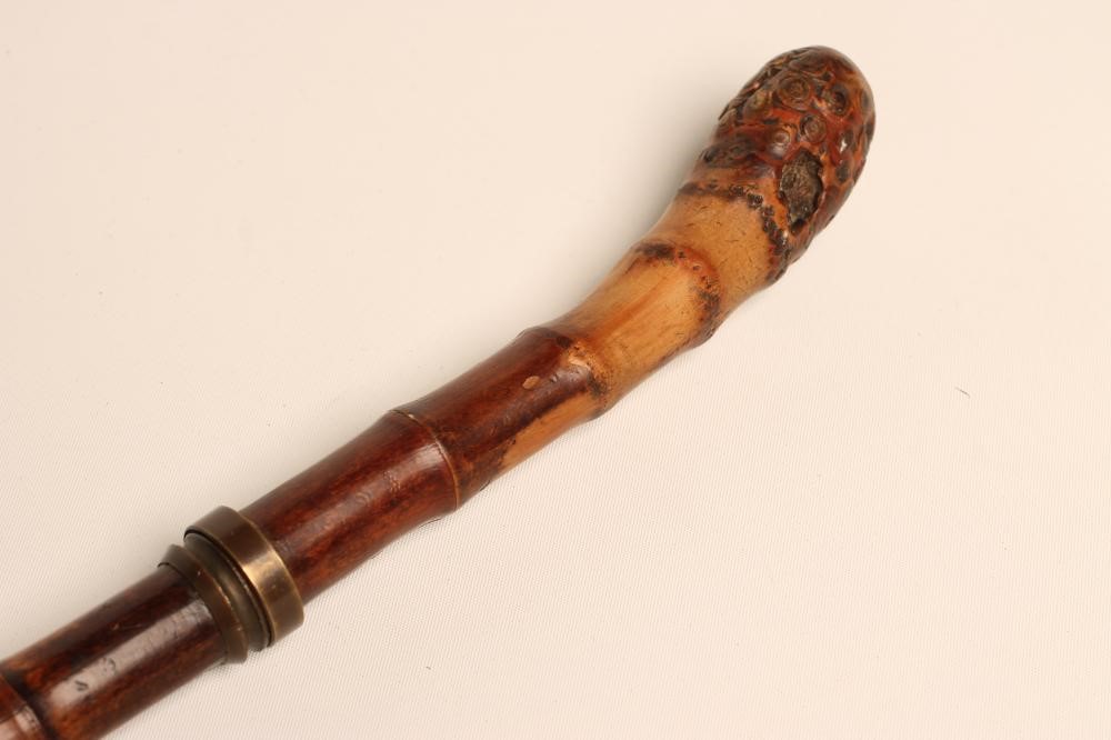 A SWORD STICK of bamboo construction with 20 1/2" square section steel blade Image