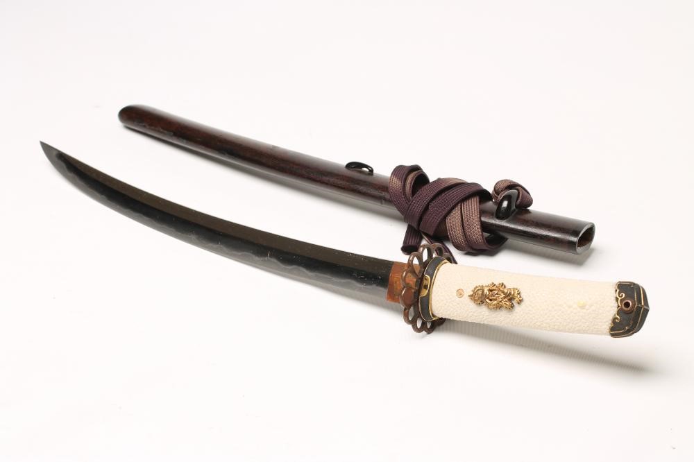 A NAGINATA NAOSHI WAKAZASHI Image
