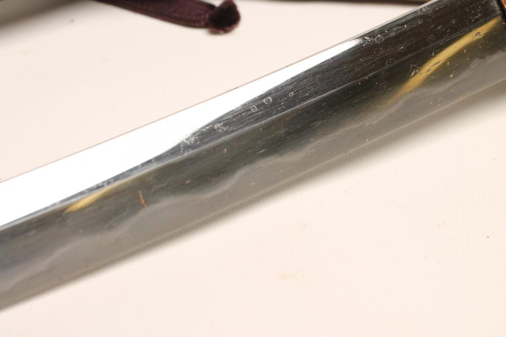 A NAGINATA NAOSHI WAKAZASHI Image