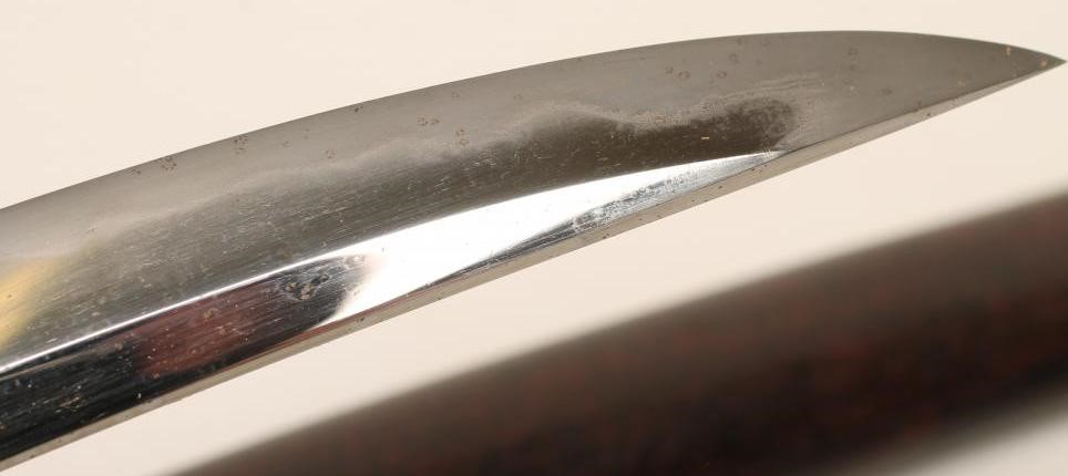 A NAGINATA NAOSHI WAKAZASHI Image