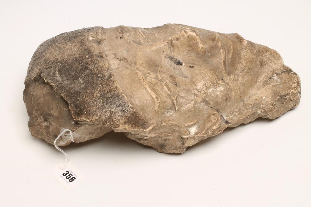 AN EGYPTIAN MARBLE HEAD Image