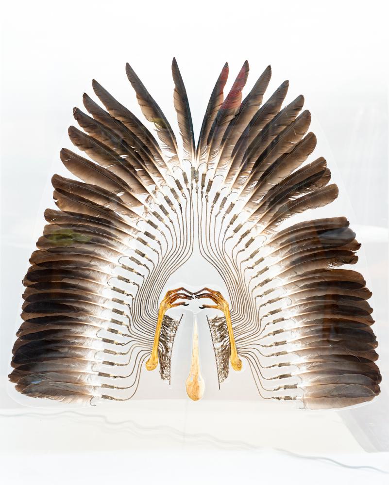 ‡STEVE DILWORTH (b.1949) Image