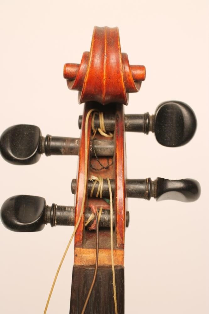 A VIOLA with one piece back Image