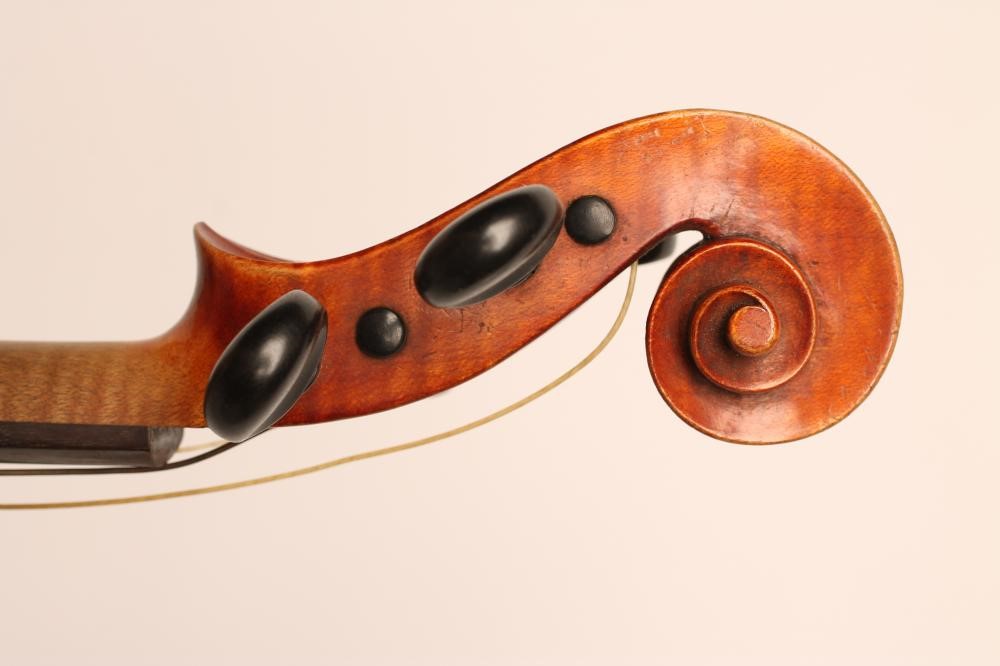 A VIOLA with one piece back Image
