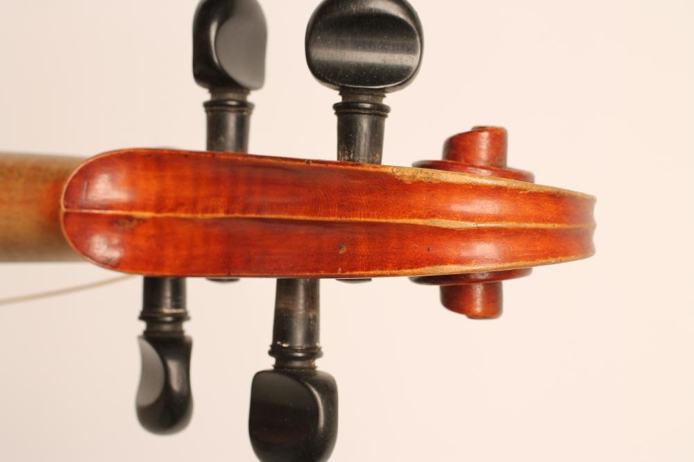 A VIOLA with one piece back Image