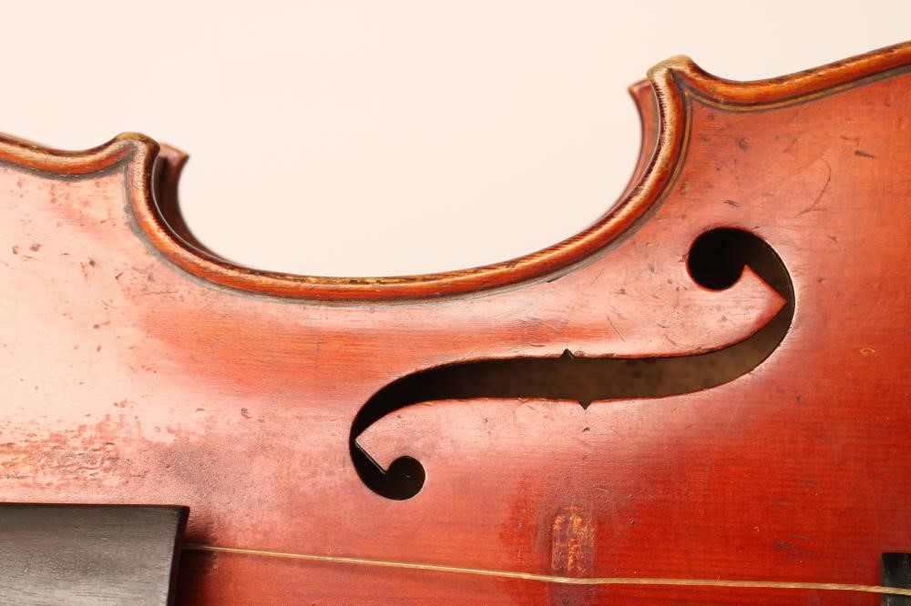 A VIOLA with one piece back Image
