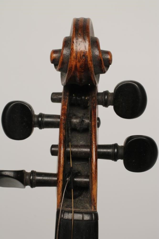 A VIOLIN with one piece back Image