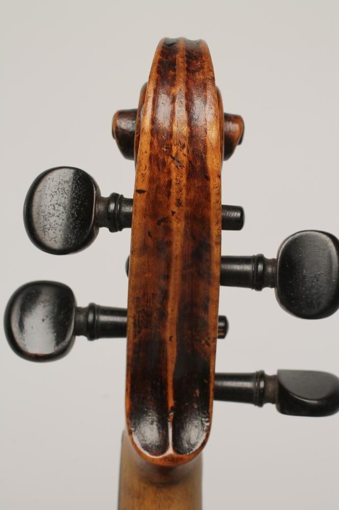 A VIOLIN with one piece back Image