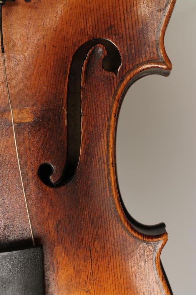 A VIOLIN with one piece back Image