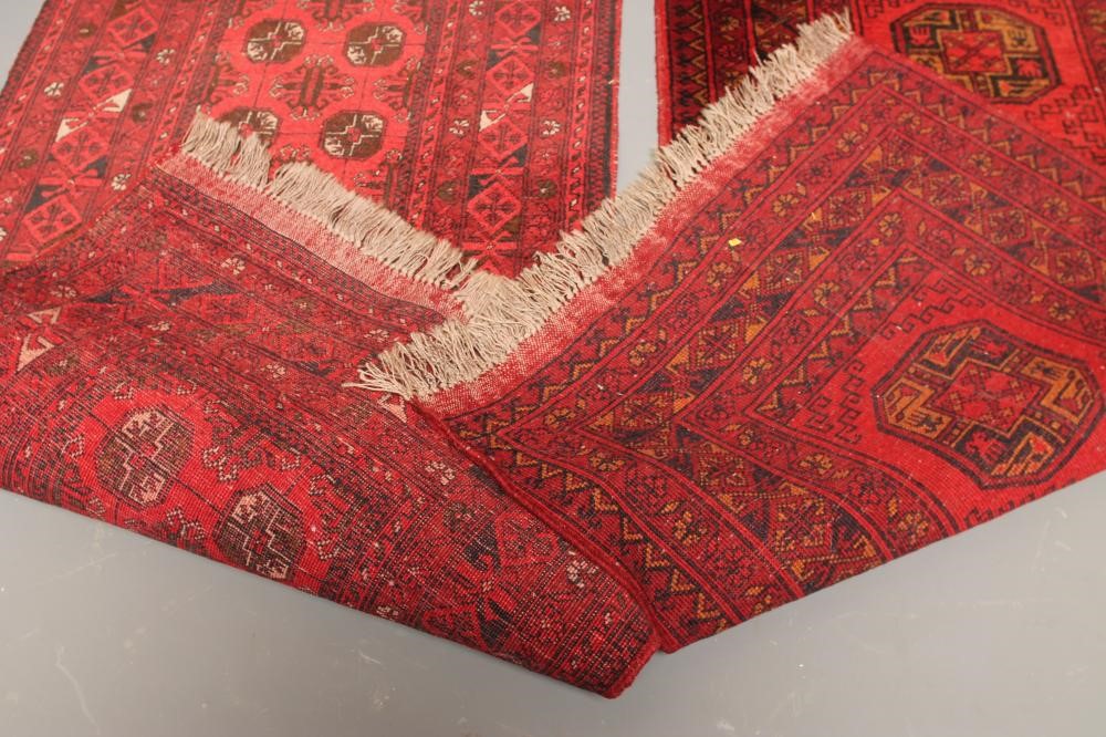 TWO AFGHAN RUNNERS Image