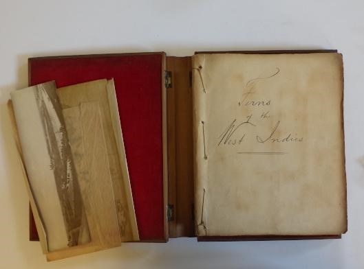 FERNS OF THE WEST INDIES Image