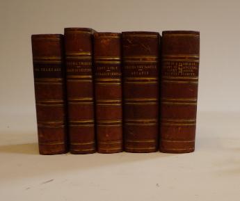 CYNTHIA THOROLD Image