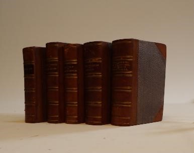 CYNTHIA THOROLD Image