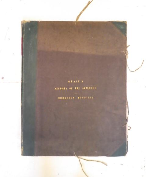 QUAIN'S ANATOMY OF THE ARTERIES Image