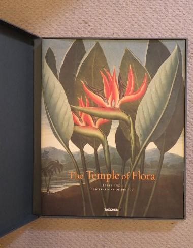 THE TEMPLE OF FLORA Image