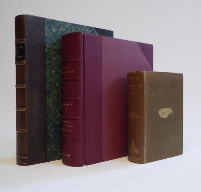 SPIDERS - Biologia Centrali-Americana Image