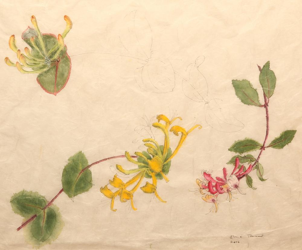 ‡EMMA TENNANT (b.1943) Image