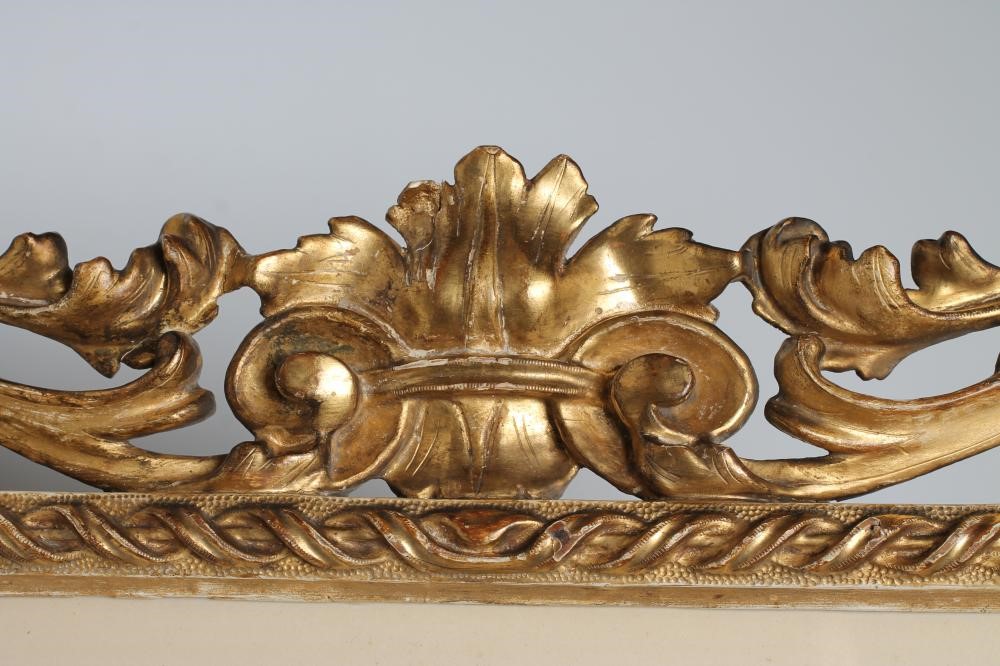 WILLIAM SHACKLETON (1872-1933) Image