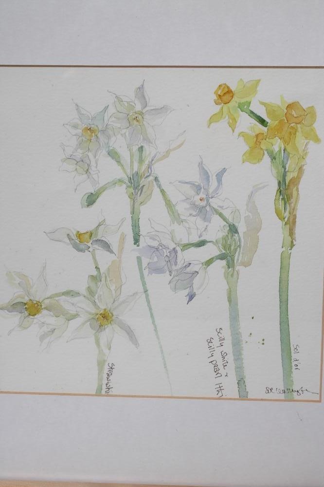 ‡SUE LEWINGTON (b.1956) Image