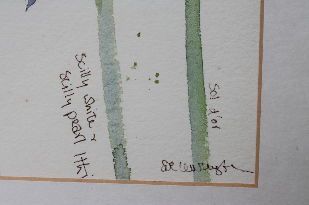 ‡SUE LEWINGTON (b.1956) Image