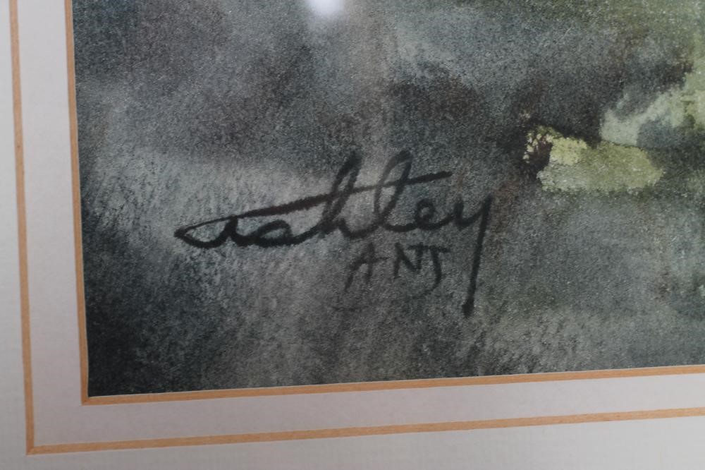 ‡ASHLEY JACKSON (b.1940) Image