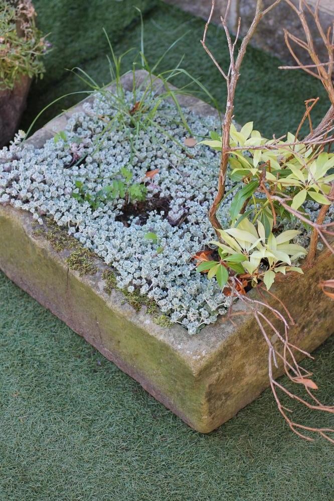 A SANDSTONE TROUGH of well cut oblong form Image