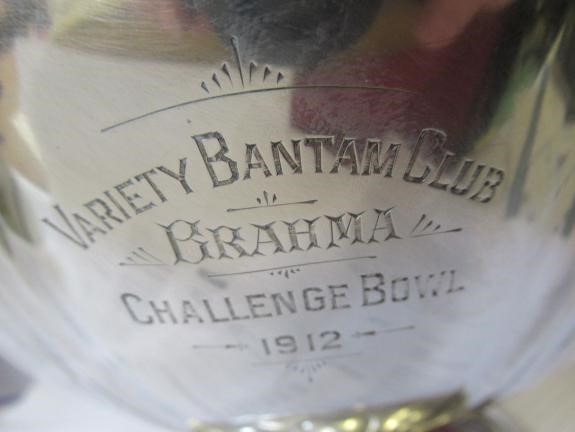 AN EDWARDIAN SILVER TROPHY ROSE BOWL Image