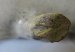 A DENBY SALTGLAZE STONEWARE MONEY BOX Image