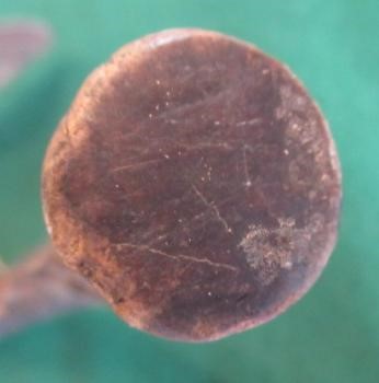 EAST AFRICAN WEAPONS, comprising a 59" long wooden bow with gut wrappings and string, three bamboo Image