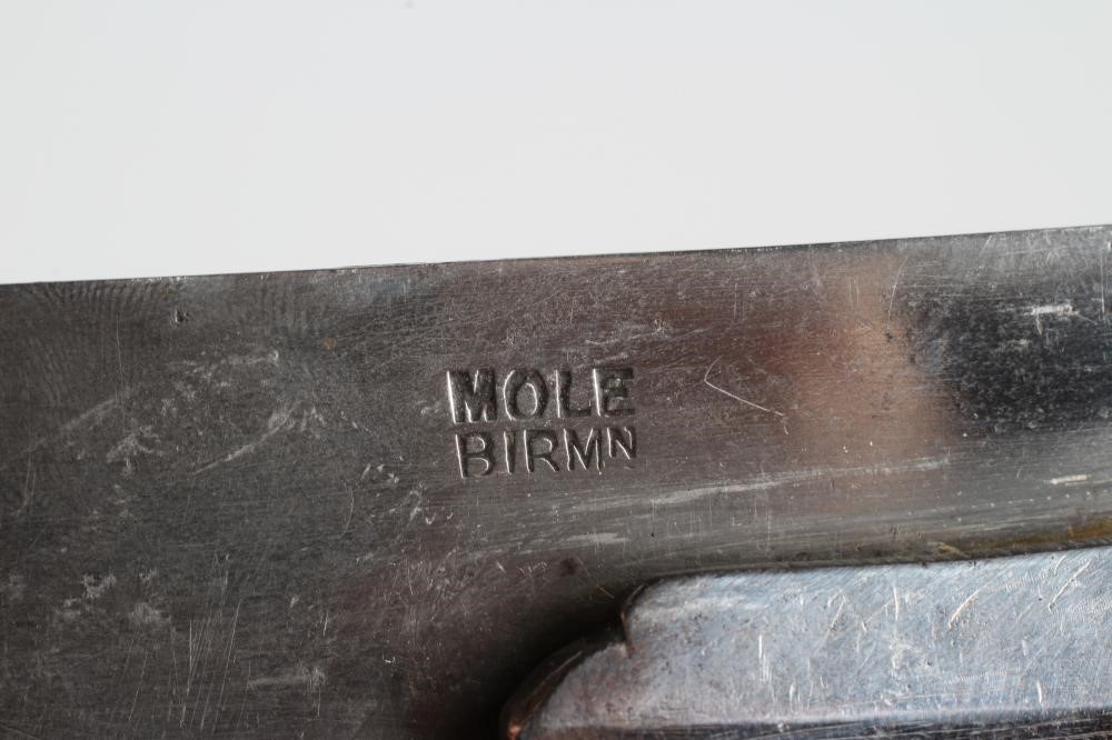 AN INDIAN CAVALRY TULWAR by Robert Mole Image