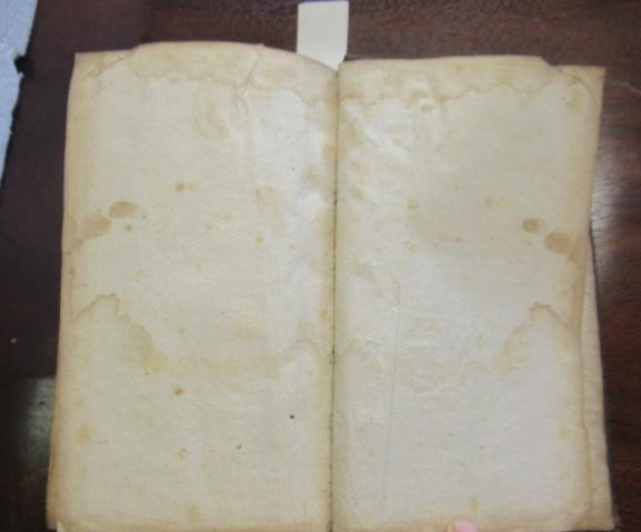 TRACTATUS QUINQUE MEDICO-PHYSICI Image