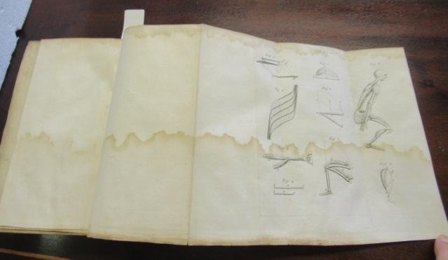 TRACTATUS QUINQUE MEDICO-PHYSICI Image