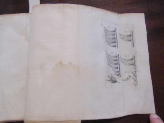 TRACTATUS QUINQUE MEDICO-PHYSICI Image