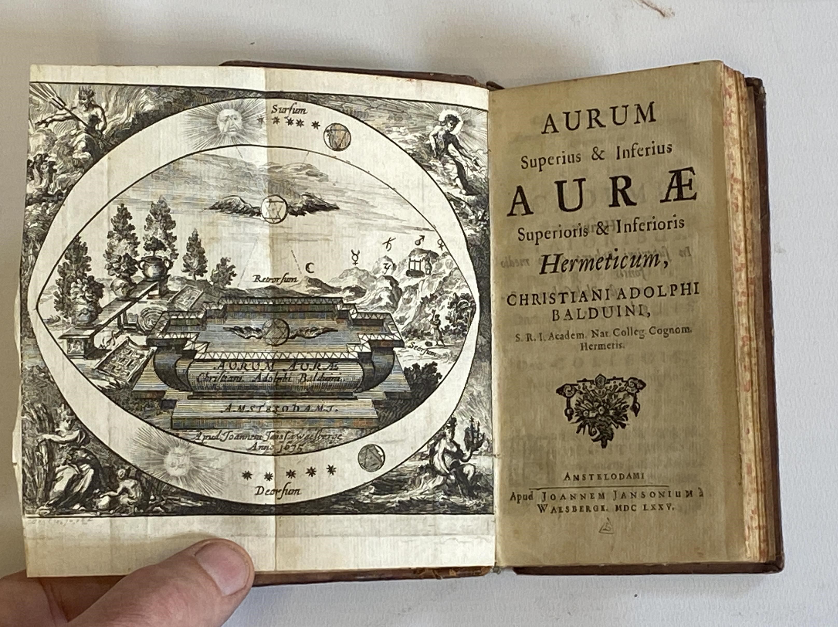AURUM SUPERIUS & INFERIUS Image