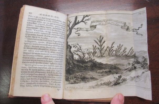 AURUM SUPERIUS & INFERIUS Image