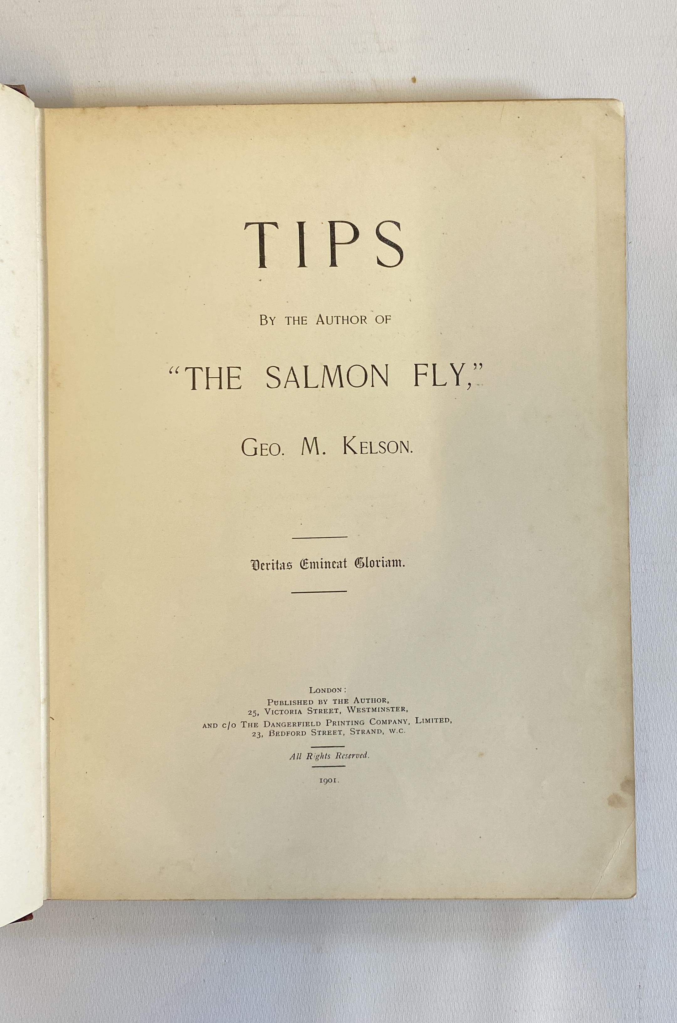TIPS BY THE AUTHOR OF THE SALMON FLY Image