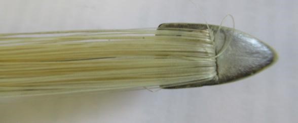 AN ENGLISH VIOLIN BY J. K. MONK Image